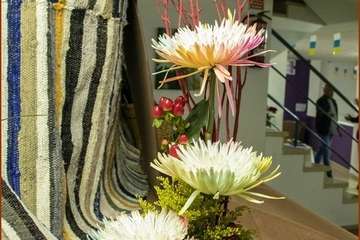 Foto Ildefonso Rodríguez